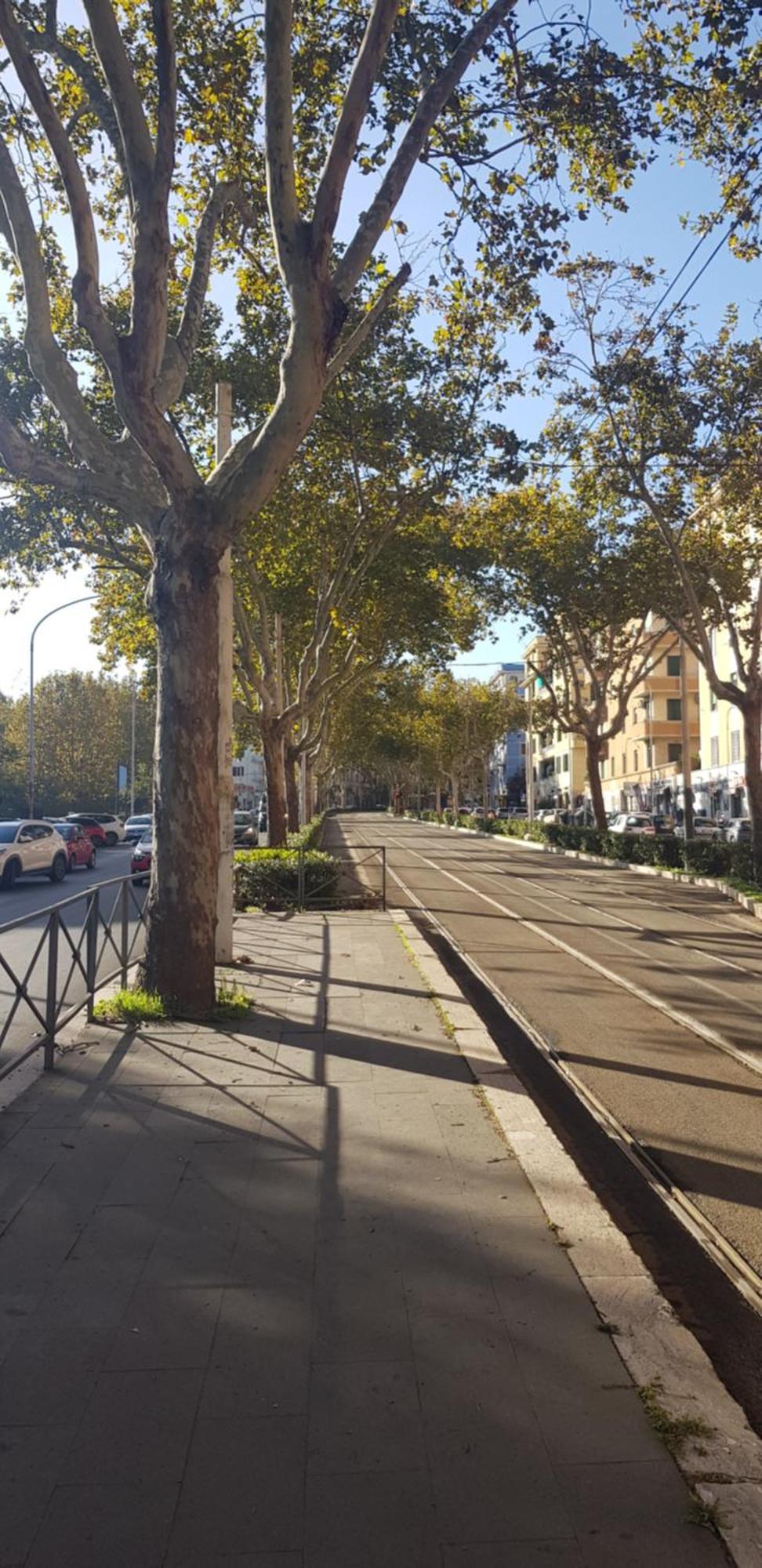 Trastevere Residenze Séjour chez l'habitant